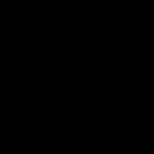 Meet your Posher, Shane